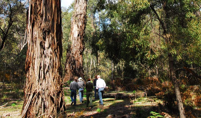 Reidsdale NSW Darwin Holiday