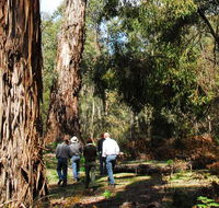 Tallaganda National Park - Darwin Holiday