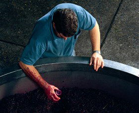 Calais Estate Wines - Darwin Holiday 2