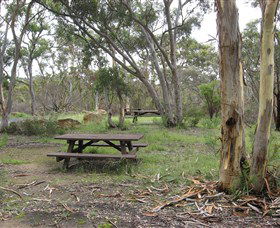 Box Vale Picnic Area - Darwin Holiday 2