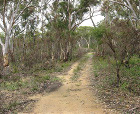 Box Vale Picnic Area - Darwin Holiday 4