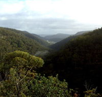 Nattai Gorge Lookout - Darwin Holiday