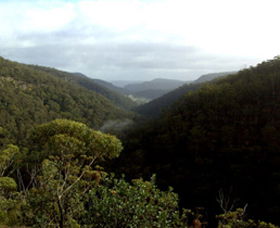 Nattai Gorge Lookout - Darwin Holiday 0