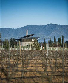 Hungerford Hill - Darwin Holiday 4