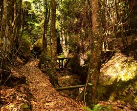 Cave Creek Walking Track - Darwin Holiday 2