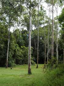 Pioneer Country Park - Darwin Holiday 1