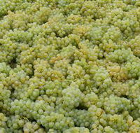 Normanby Wines - Darwin Holiday