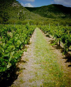 Gartelmann Wines - Darwin Holiday 0