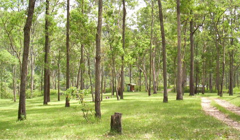Nymboida National Park - Darwin Holiday 2