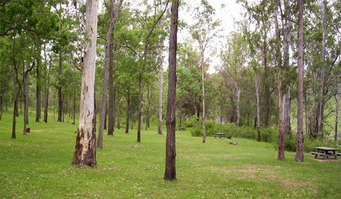 Nymboida National Park - Darwin Holiday 3