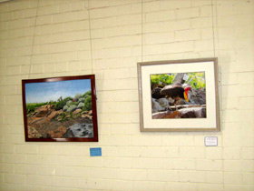 Maryborough Art Society Inc. - Darwin Holiday 2