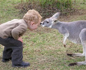 Hunter Valley Zoo - Darwin Holiday 3