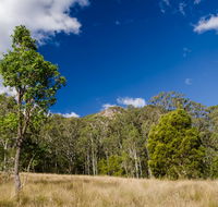 Brush Turkey track - Darwin Holiday