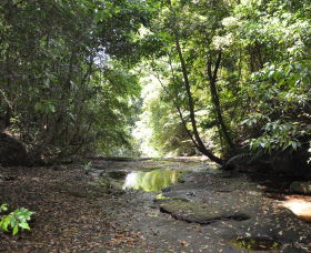 State Forests Of The Watagan Mountains - Darwin Holiday 1