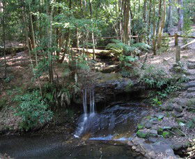 State Forests Of The Watagan Mountains - Darwin Holiday 3