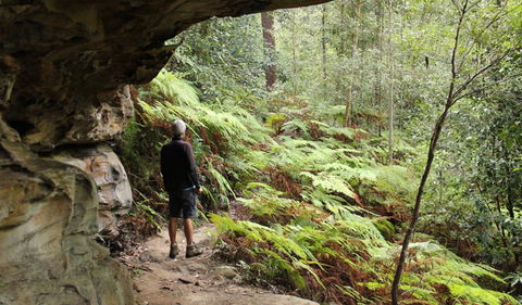 Dharug National Park - Darwin Holiday 0