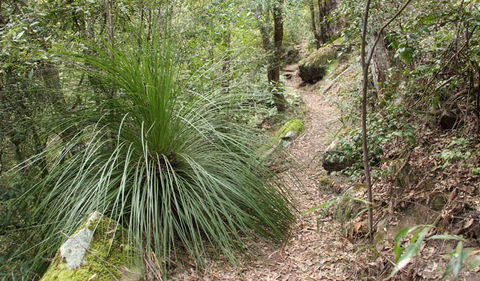 Dharug National Park - Darwin Holiday 2
