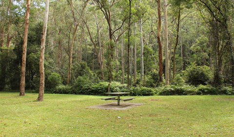 Dharug National Park - Darwin Holiday 3