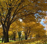 Centennial Park at Cooma - Darwin Holiday