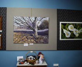 Monaro Art Groups Little Gallery - Darwin Holiday 0