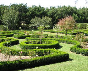 Back O The Moon - Darwin Holiday 0