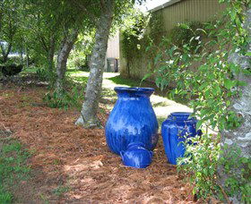 Back O The Moon - Darwin Holiday 1