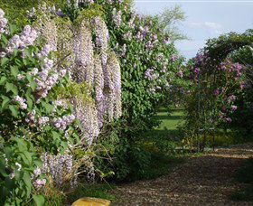 Back O The Moon - Darwin Holiday 3