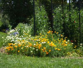 Back O The Moon - Darwin Holiday 2