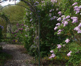 Back O The Moon - Darwin Holiday 4