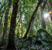 Copeland Tops State Conservation Area - Darwin Holiday