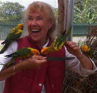 Maleny Botanic Gardens  Bird World - Darwin Holiday