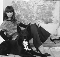 Morrison International - Darwin Holiday