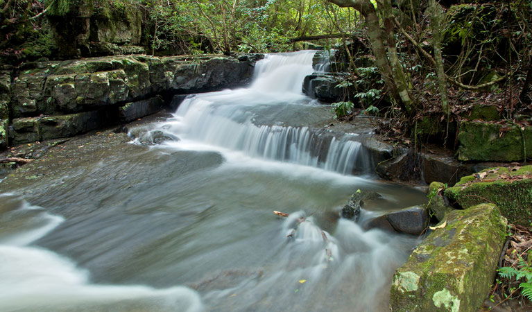 Bandon Grove NSW Darwin Holiday