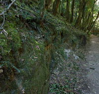Hidden Treasure track - Darwin Holiday