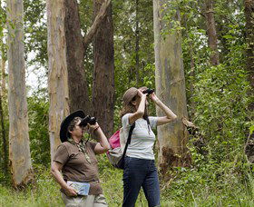 Chichester State Forest - Darwin Holiday 0