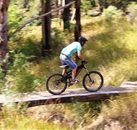 The Steps Mountain Bike Park - Darwin Holiday