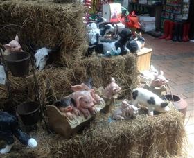 Country Elegance Gardens And Gifts - Darwin Holiday 3