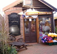 Australian Alpaca Barn - Morpeth - Darwin Holiday