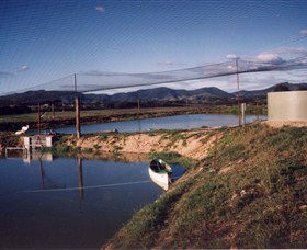 Trudgalong Farm - Darwin Holiday 1