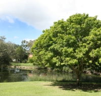 Hervey Bay Botanic Gardens - Darwin Holiday