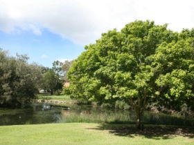Hervey Bay Botanic Gardens - Darwin Holiday 0