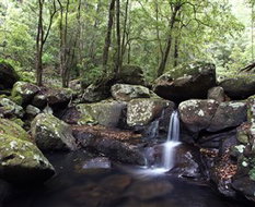 Book Church Point NSW Attractions Darwin Holiday Darwin Holiday