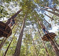 TreeTop Adventure Park Central Coast - Darwin Holiday