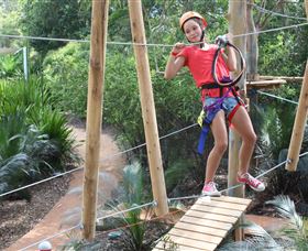 Urban Jungle Adventure Park - Darwin Holiday 0
