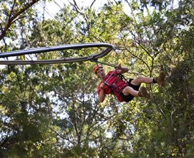 TreeTops Crazy Rider - Darwin Holiday 1