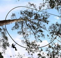 TreeTops Crazy Rider - Darwin Holiday