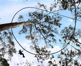 TreeTops Crazy Rider - Darwin Holiday 0