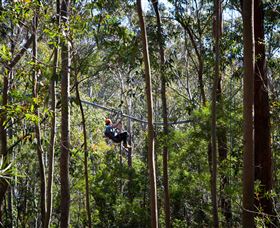 TreeTops Crazy Rider - Darwin Holiday 3