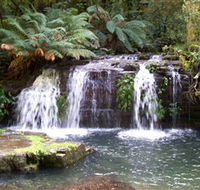 Barrington Tops National Park Walks - Darwin Holiday