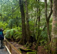 Monga National Park - Darwin Holiday